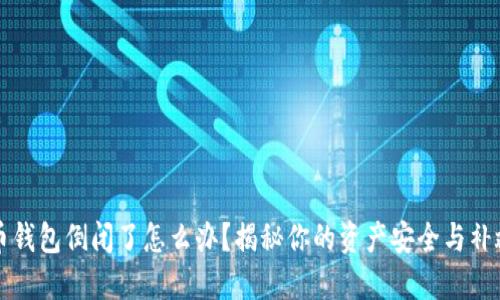 虚拟币钱包倒闭了怎么办?揭秘你的资产安全与补救策略