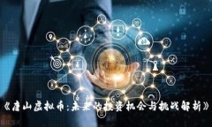 《唐山虚拟币:未来的投资机会与挑战解析》