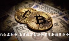 Velo虚拟币:未来数字金融的新星和投资机会