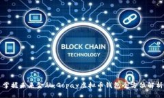 掌握未来金融:Gopay虚拟币钱包全方位解析