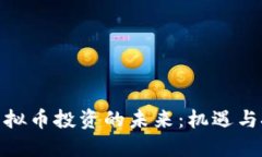 : 虚拟币投资的未来:机遇与挑战