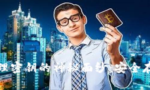 揭开虚拟币物理密钥的神秘面纱:安全存储的未来之路