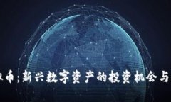 纳西虚拟币:新兴数字资产的投资机会与风险分