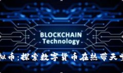 海南虚拟币:探索数字货币在热带天堂的未来