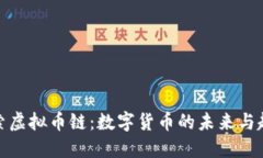 探索虚拟币链:数字货币的未来与趋势