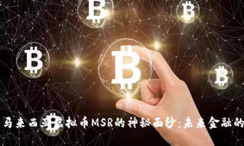 揭开马来西亚虚拟币MSR的神秘面纱:未来金融的新星