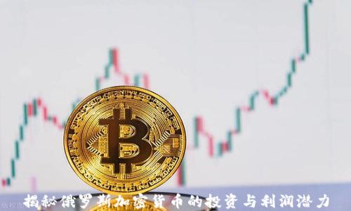 
揭秘俄罗斯加密货币的投资与利润潜力