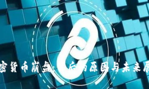 加密货币崩盘:背后的原因与未来展望