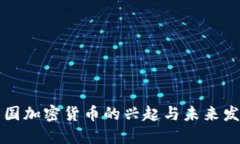 中国加密货币的兴起与未来发展