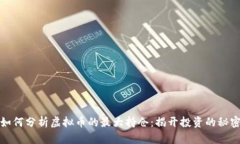 如何分析虚拟币的最大持仓:揭开投资的秘密