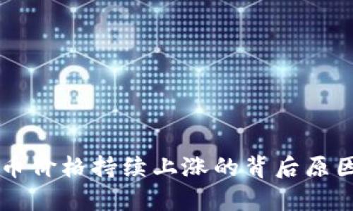虚拟币价格持续上涨的背后原因解析