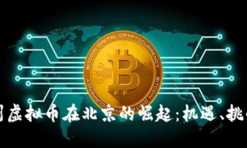 探秘鄂州虚拟币在北京的崛起:机遇、挑战与未来