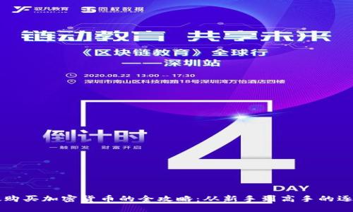 新加坡购买加密货币的全攻略:从新手到高手的逐步引导