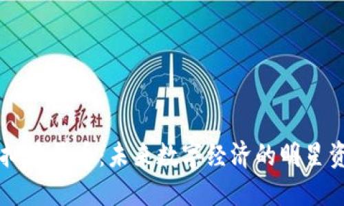 虚拟星号币:未来数字经济的明星资产