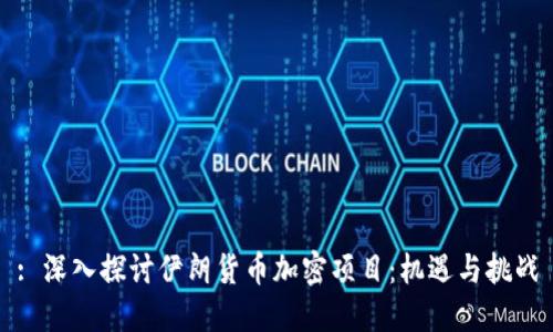 : 深入探讨伊朗货币加密项目:机遇与挑战
