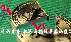 中国虚拟币的未来:机遇与挑战并存的数字货币