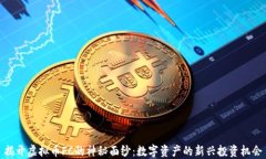 揭开虚拟币FC的神秘面纱:数字资产的新兴投资机