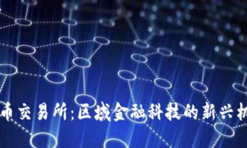 香港虚拟币交易所:区域金融科技的新兴机会与挑战