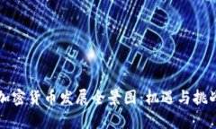 中国加密货币发展全景图：机遇与挑战并存