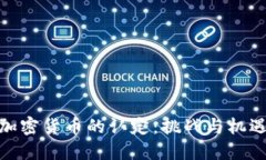 加密货币的认定：挑战与机遇