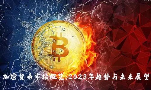 加密货币市场概览:2023年趋势与未来展望
