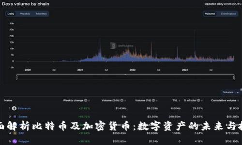 全面解析比特币及加密货币:数字资产的未来与挑战
