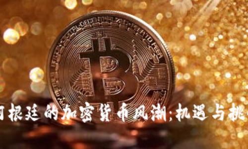阿根廷的加密货币风潮：机遇与挑战