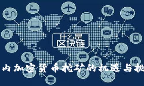 国内加密货币挖矿的机遇与挑战