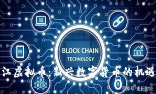 揭秘庐江虚拟币:新兴数字货币的机遇与挑战