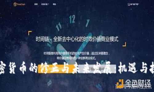 法国加密货币的修正与未来发展:机遇与挑战并存