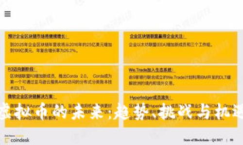 虚拟币的未来:趋势、挑战与机遇