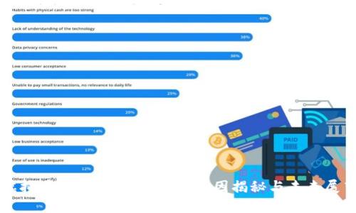 虚拟币市场暴跌的背后:原因揭秘与未来展望