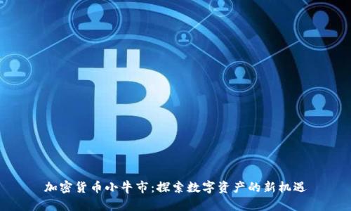 加密货币小牛市:探索数字资产的新机遇