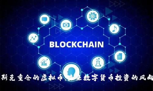 马斯克重仓的虚拟币:未来数字货币投资的风向标