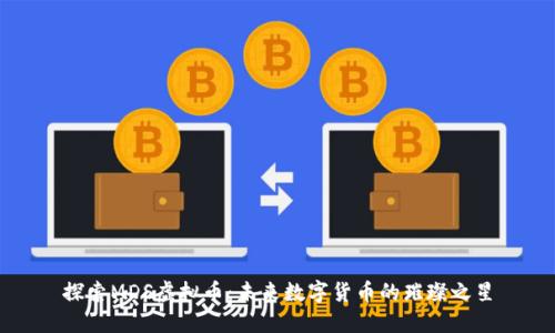 探索MDS虚拟币:未来数字货币的璀璨之星