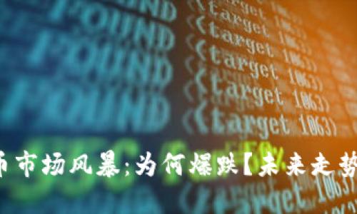 虚拟币市场风暴:为何爆跌?未来走势如何?