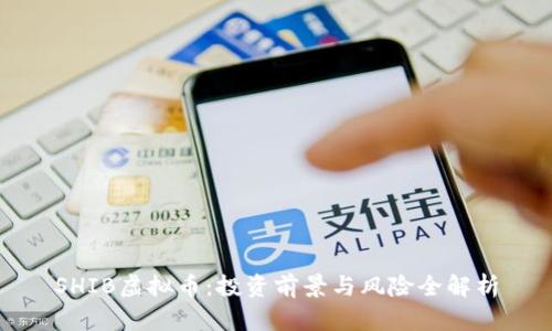 SHIB虚拟币:投资前景与风险全解析