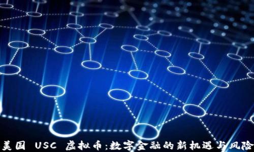 
美国 USC 虚拟币：数字金融的新机遇与风险