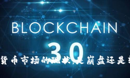 加密货币市场的现状:是崩盘还是转型?