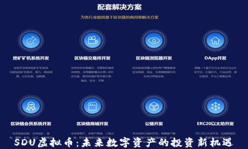 SDU虚拟币:未来数字资产的投资新机遇
