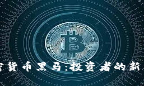 加密货币黑马:投资者的新希望