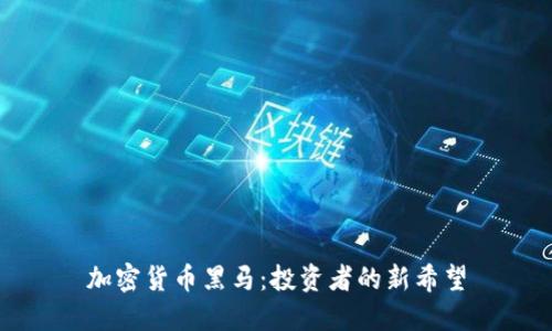加密货币黑马:投资者的新希望