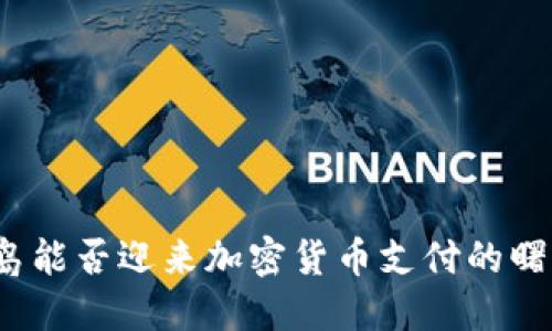 冰岛能否迎来加密货币支付的曙光?