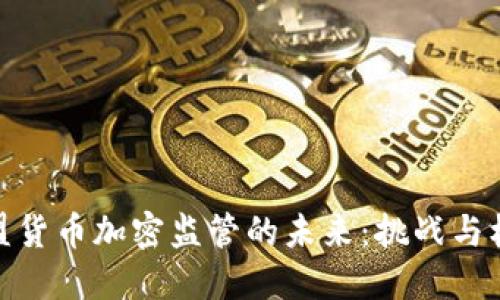 欧盟货币加密监管的未来:挑战与机遇