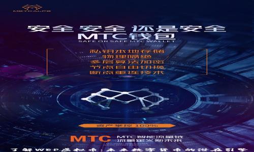 了解WEP虚拟币:未来数字货币的潜在引擎