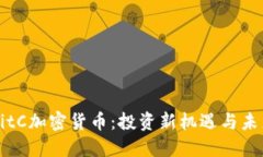 揭秘BitC加密货币：投资新机遇与未来展望