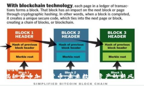 code
揭秘布币加密货币：未来数字资产的新风口