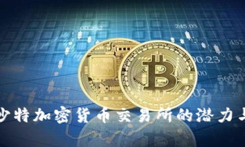探索沙特加密货币交易所的潜力与前景