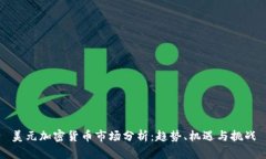 美元加密货币市场分析：趋势、机遇与挑战
