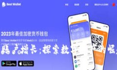 加密货币持有账户增长:探索数字资产的崛起与